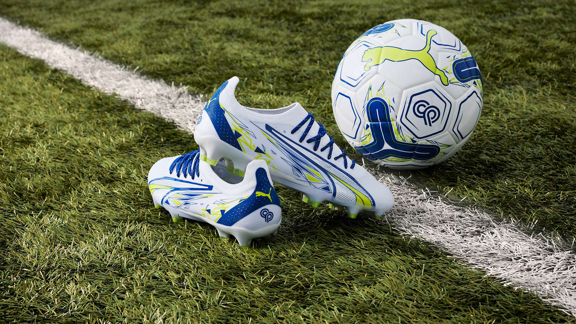 的到来不仅 的到来不仅